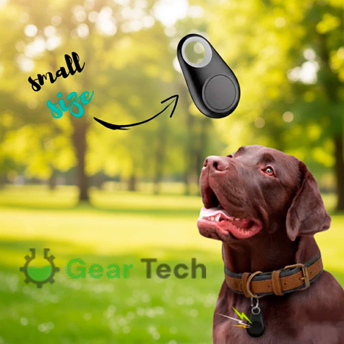Dog GPS Tracker With Real-Time Location Updates And No Monthly Fees