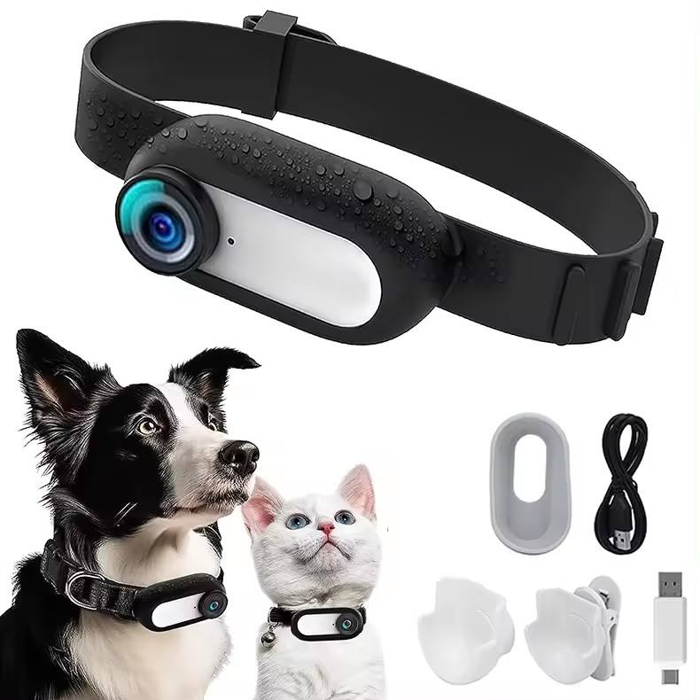 Cámara de seguimiento inalámbrica para collar de perro y gato, cámara HD para mascotas con grabación en tiempo real
