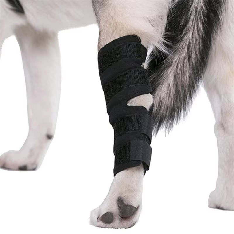 Ortesis ortopédicas para perros