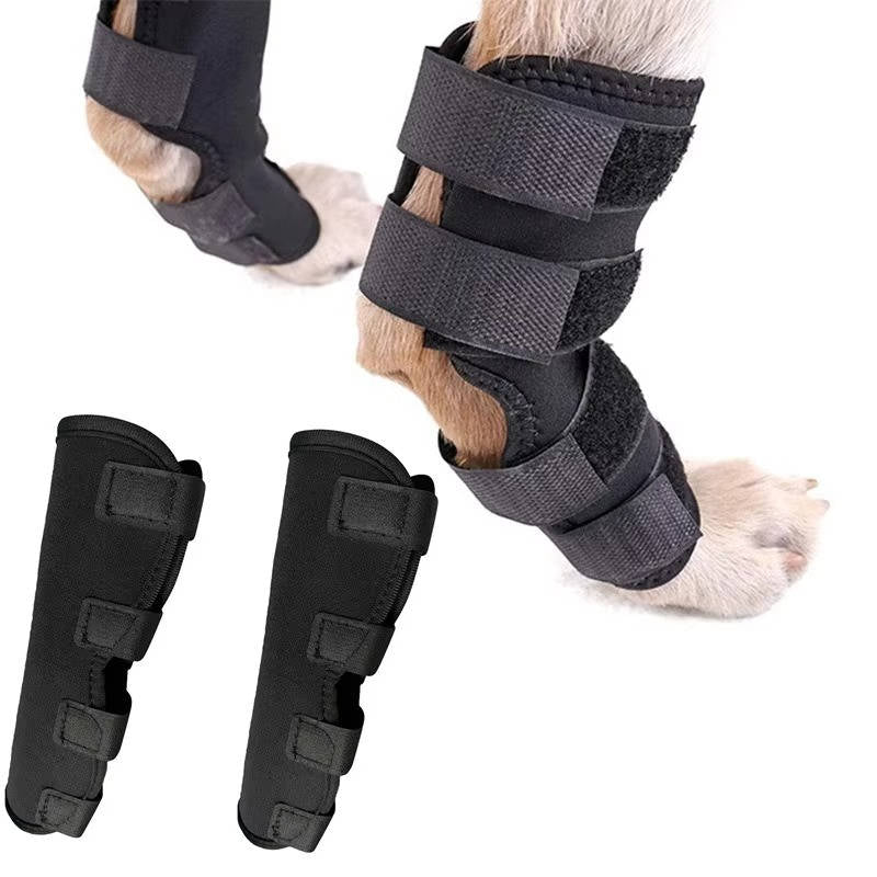 Ortesis ortopédicas para perros