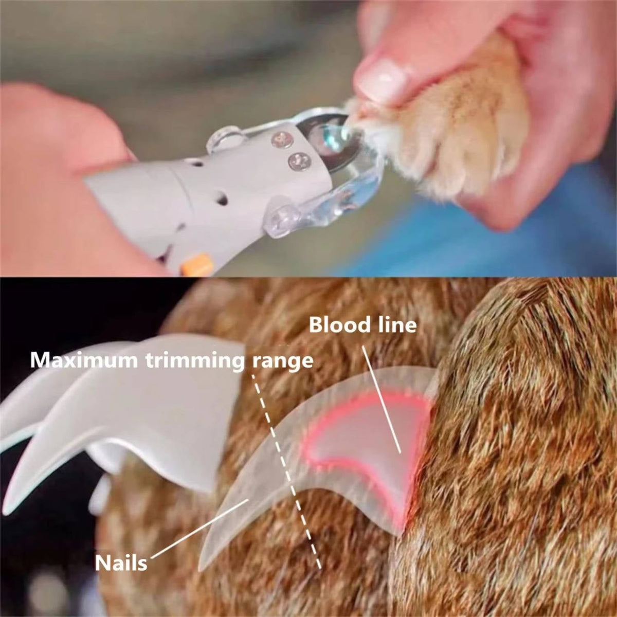 Nagelknipper voor huisdieren met licht