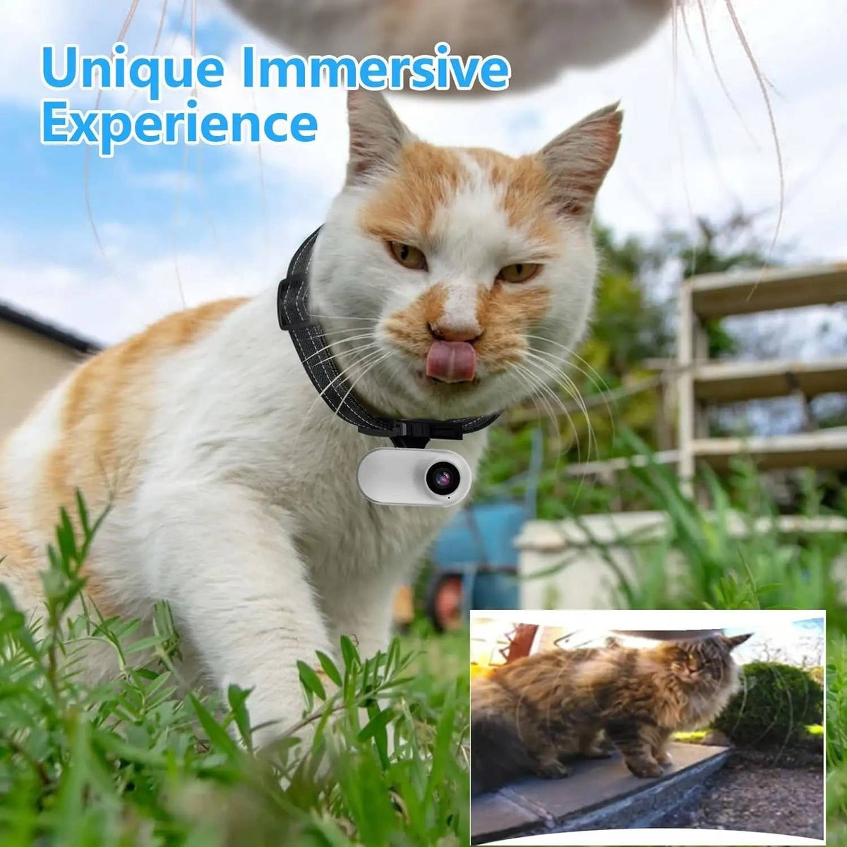 Wireless Tracking Camera Dog & Cat Collar, HD Pet Camera with Real Time Recording