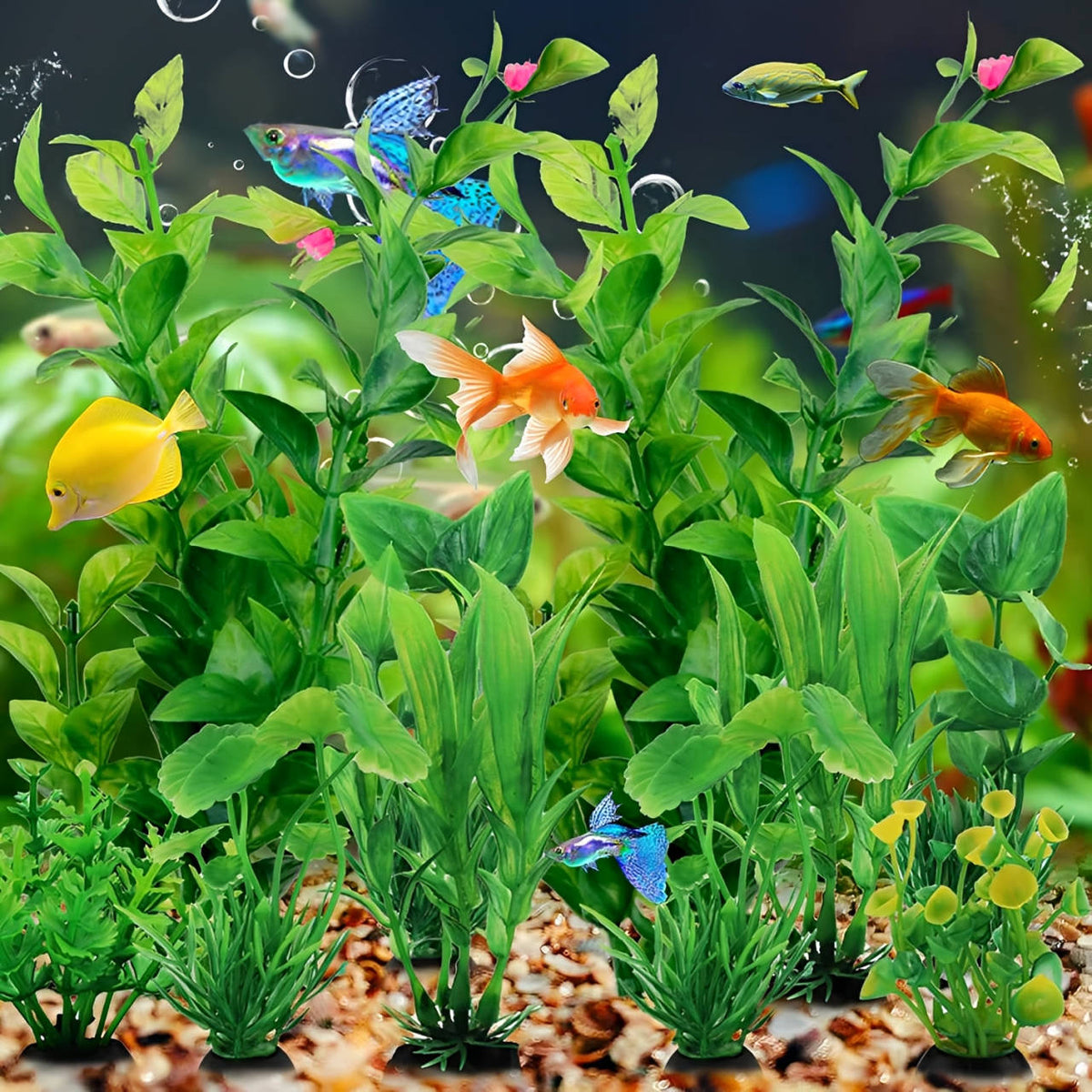 Aquariumdecoratie