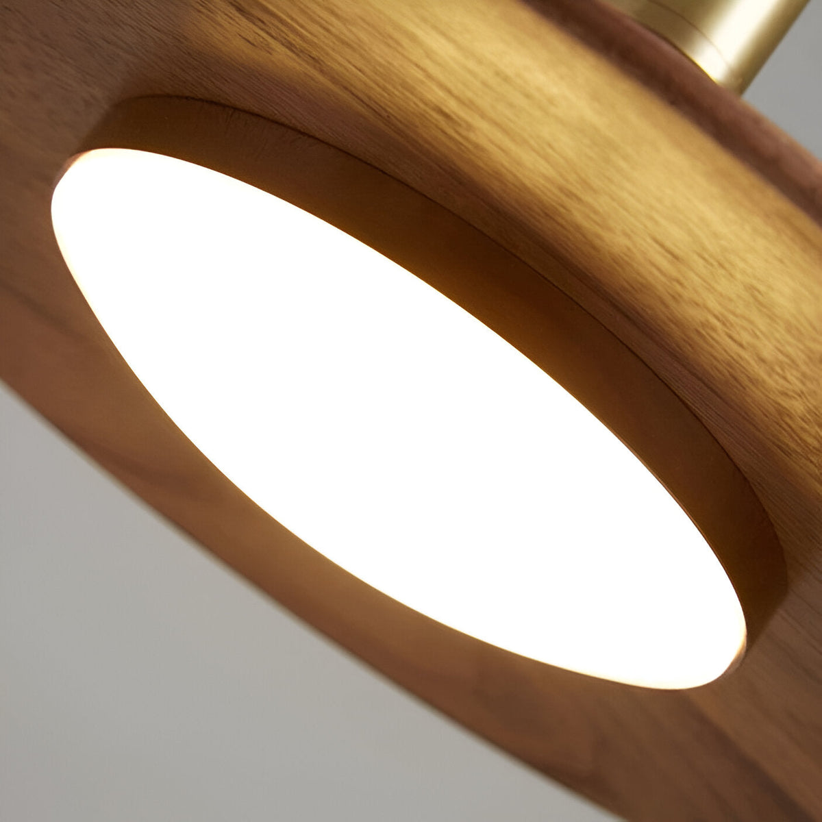 Sculptural Metal Shade Ceiling Fixture with Organic Wood-Tone Accent – 10 in or 14 in Drop Light for Island Counter Bar and Breakfast Nook – | Thomler