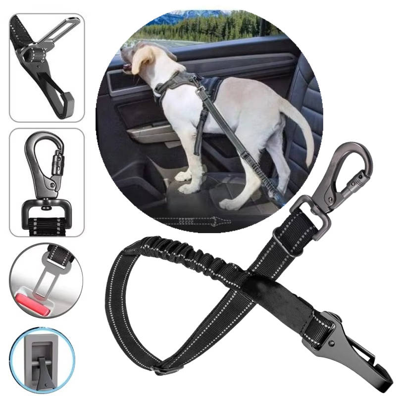 Veiligheidsgordel voor honden in de auto