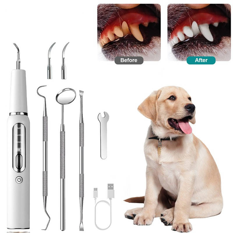 Removedor de sarro y cálculo dental para perros en casa