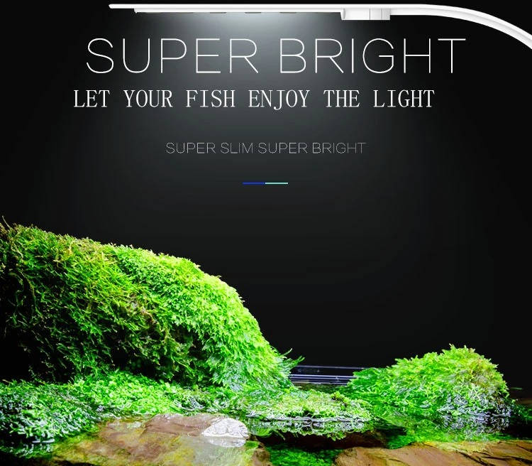 Slimme led-aquariumverlichting voor waterplanten