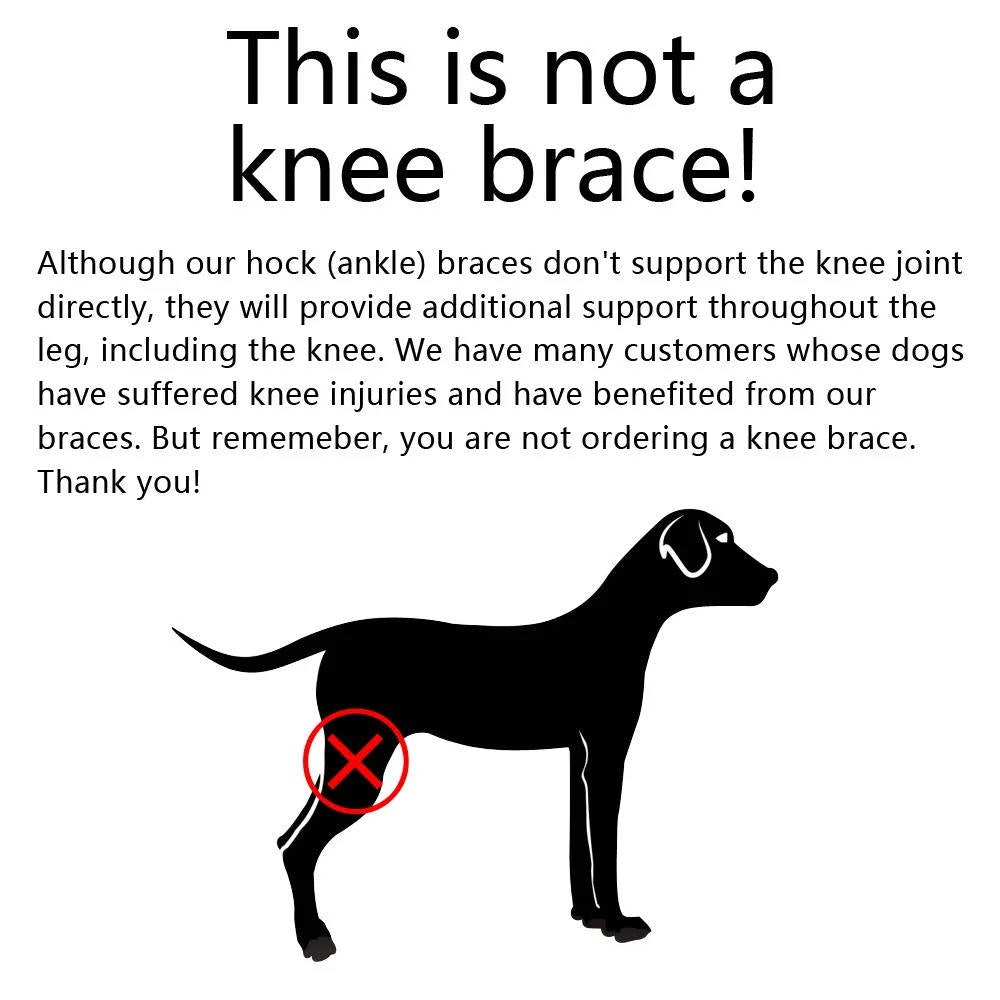 Ortesis ortopédicas para perros