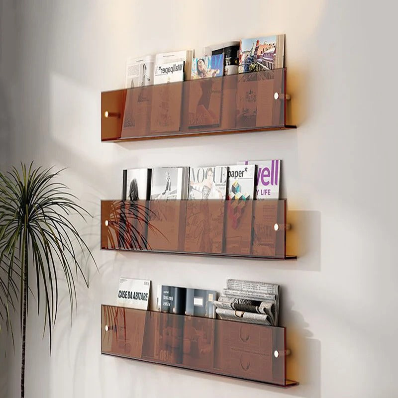 Vinyl Record Holder Wall Rack Magazine Organizer Shelf for Living Room Books Newspapers Home Office Storage Clear Acrylic Display Mount | Thomler