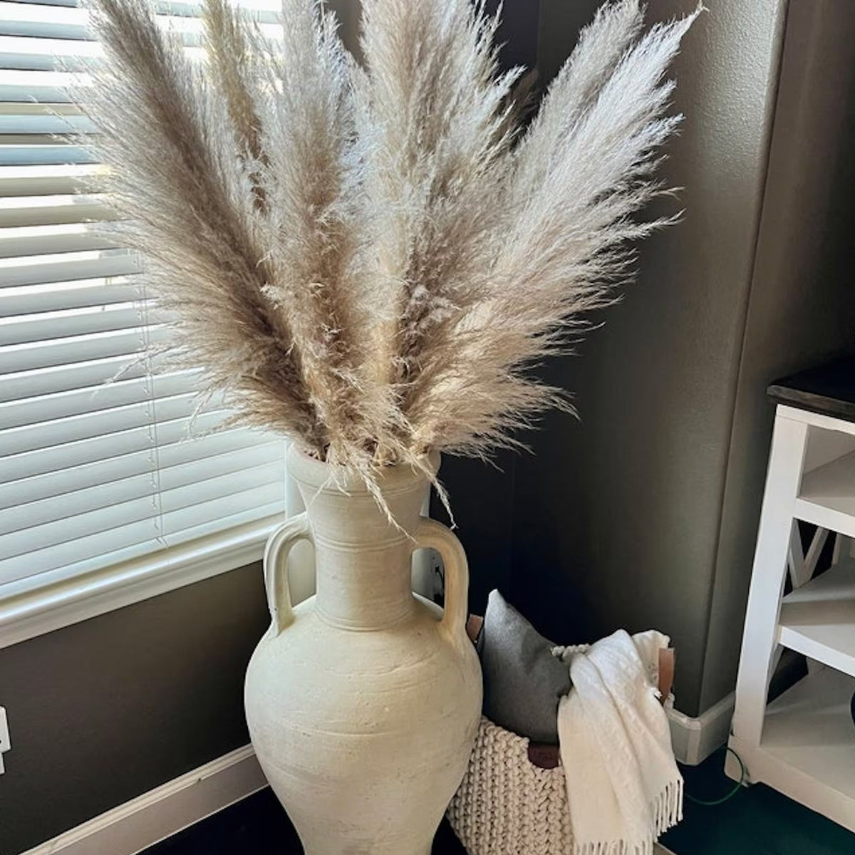 Fluffy Natural Pampas Grass Stems for Vase Displays | 16-30 Inch Dried Floral Accents for Living Room Shelf Styling Event Centerpieces Boho | Thomler