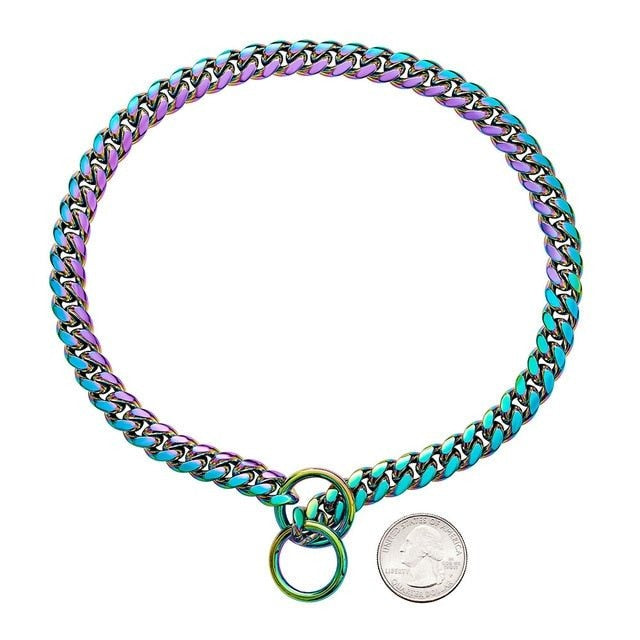Collar resistente para perros