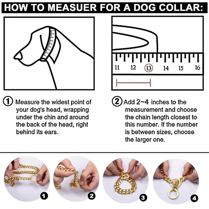 Collar resistente para perros