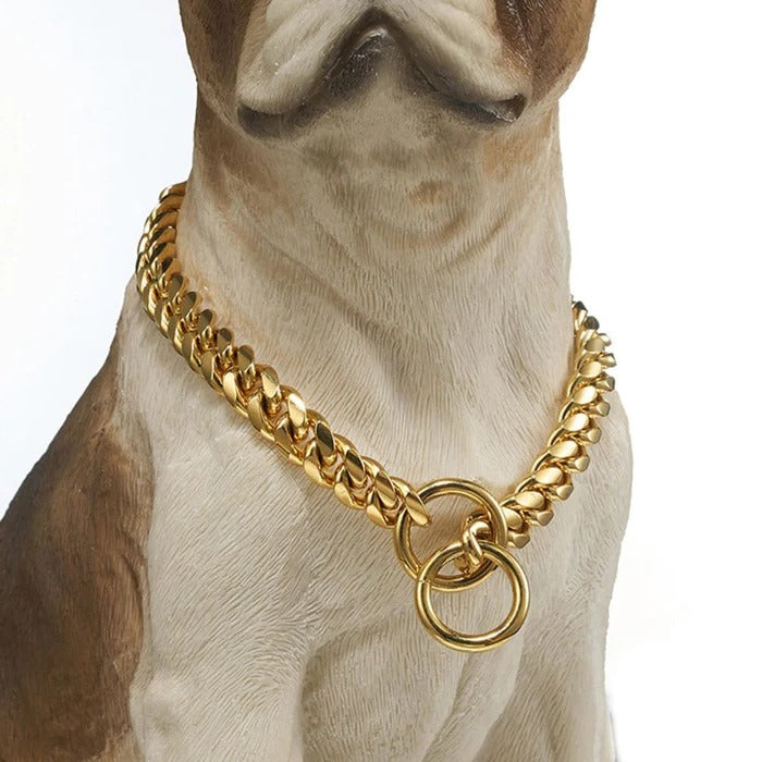 Robuuste hondenhalsband