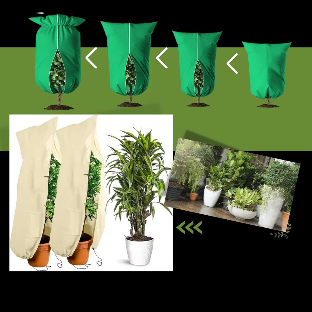 Beschermhoezen tegen vorst voor planten