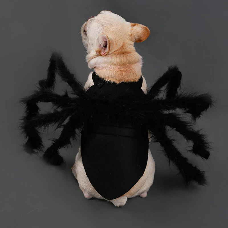 Disfraz divertido de araña para mascotas