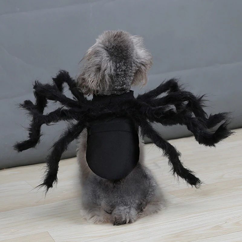 Disfraz divertido de araña para mascotas