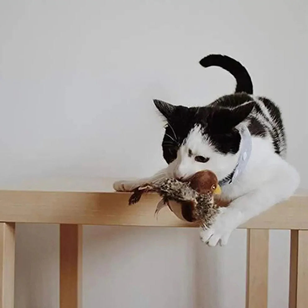Interactief geluidsvogeltje voor katten - Fladderend veerplezier voor binnenkatten