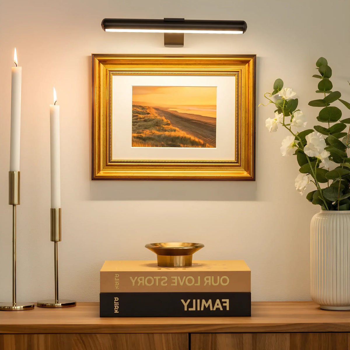 Wireless LED Picture Light
