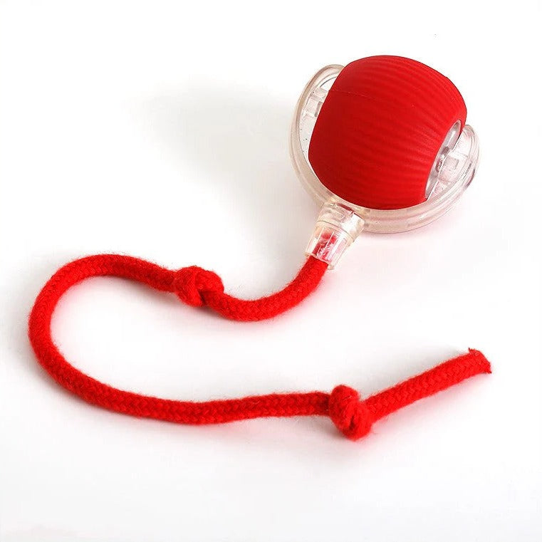 Pelota Rodante Activa con Cola para Perros