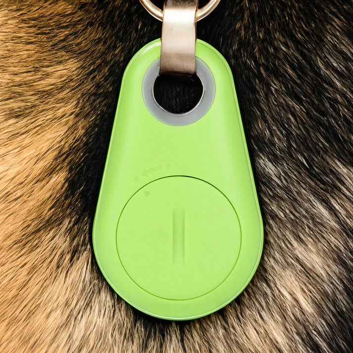 Wasserdichter GPS-Tracker für Haustiere