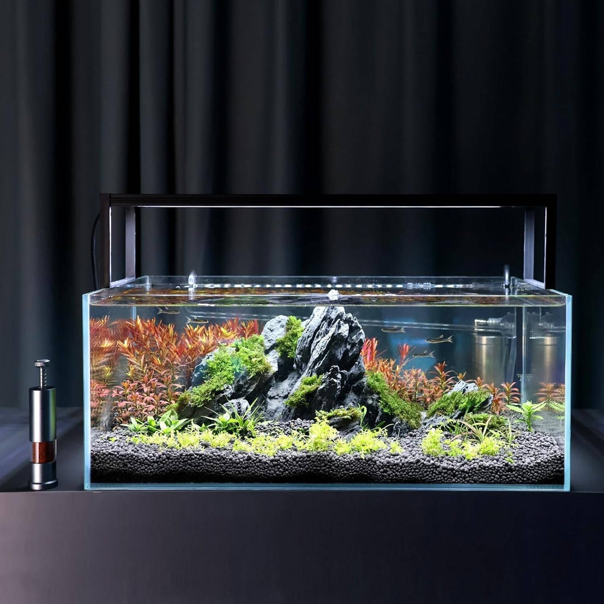 Mini visvoerautomaat voor aquarium