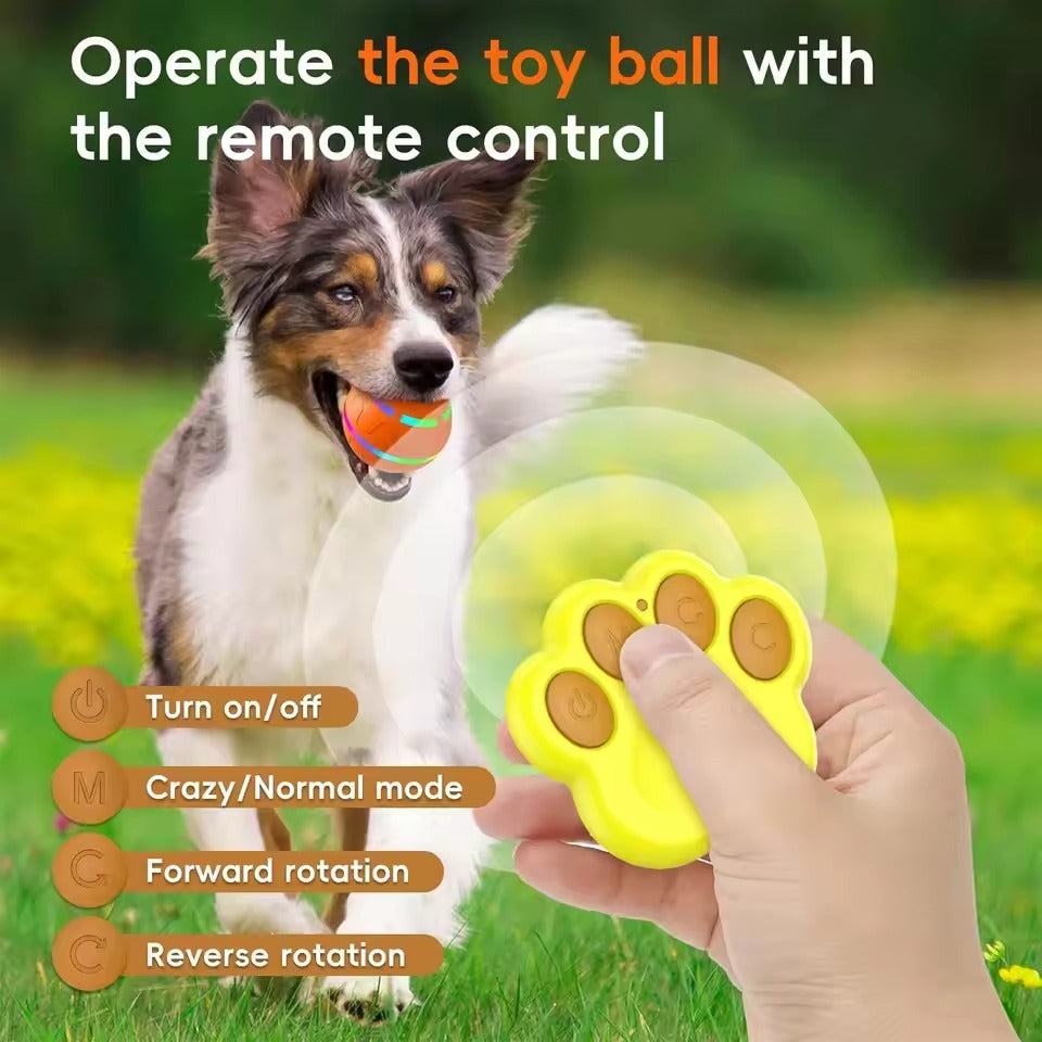Interactief hondenspeelgoed in de vorm van een bal