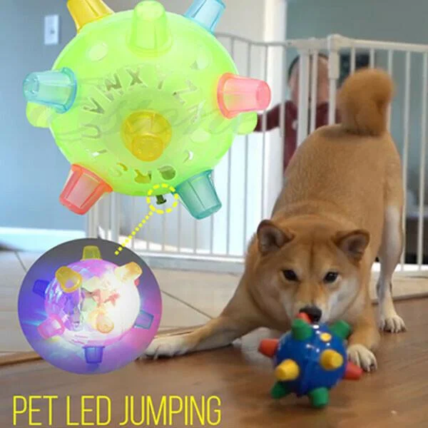 Neuer springender Aktivierungsball für Hunde