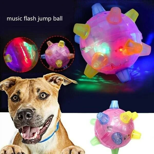 Neuer springender Aktivierungsball für Hunde