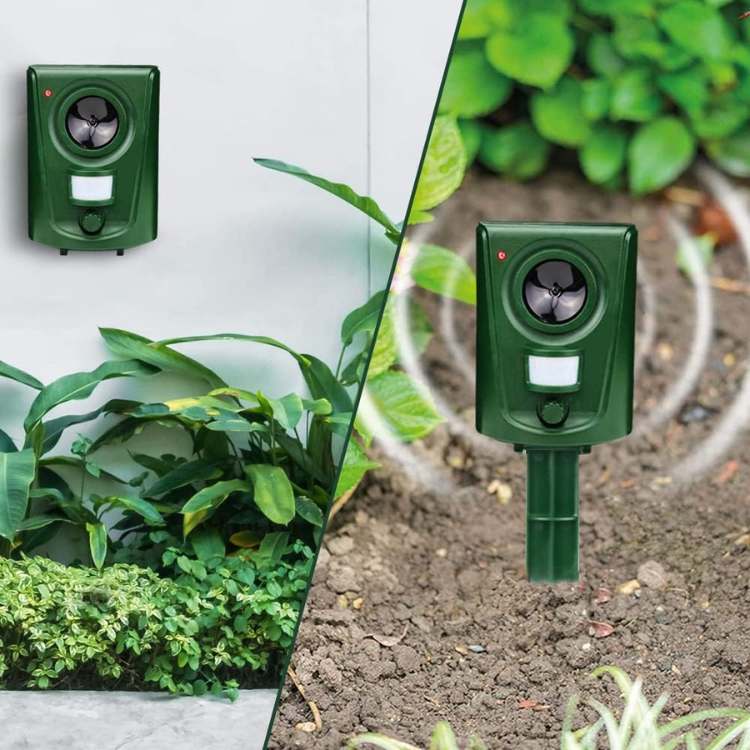 Motion-Activated Outdoor Cat Deterrent with Ultrasonic Sound Technology for Yards & Gardens | Thomler