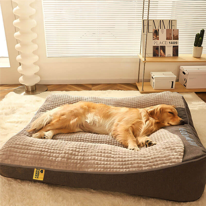 Orthopedic Dog Bed with Raised Bolster Pillow – Plush Crystal Velvet Pet Cushion for Joint Support, Machine Washable Cover for Small to