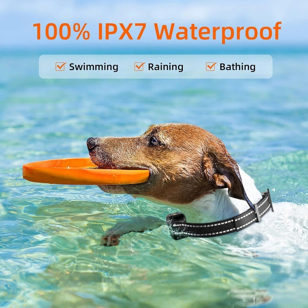 Waterdichte oplaadbare hondentrainingshalsband met afstandsbediening – bereik van 1000 meter voor alle rassen
