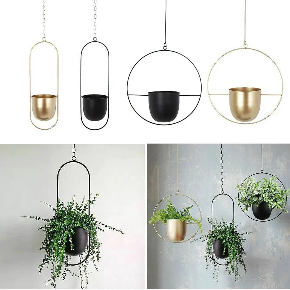 Wall-Mount Planter Pot with Circular Metal Frame for Indoor Outdoor Plants, Herbs & Succulents in Living Room, Kitchen | Thomler