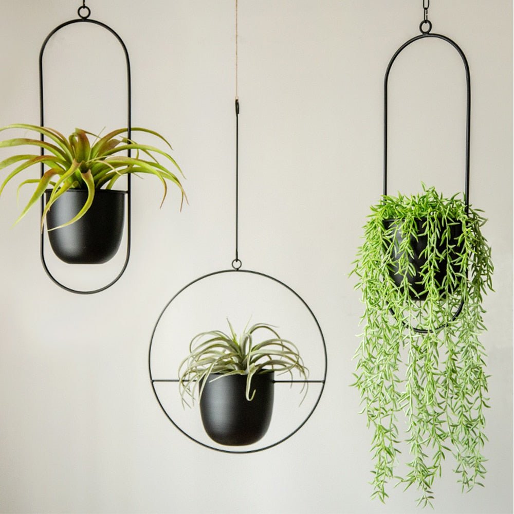 Wall-Mount Planter Pot with Circular Metal Frame for Indoor Outdoor Plants, Herbs & Succulents in Living Room, Kitchen | Thomler