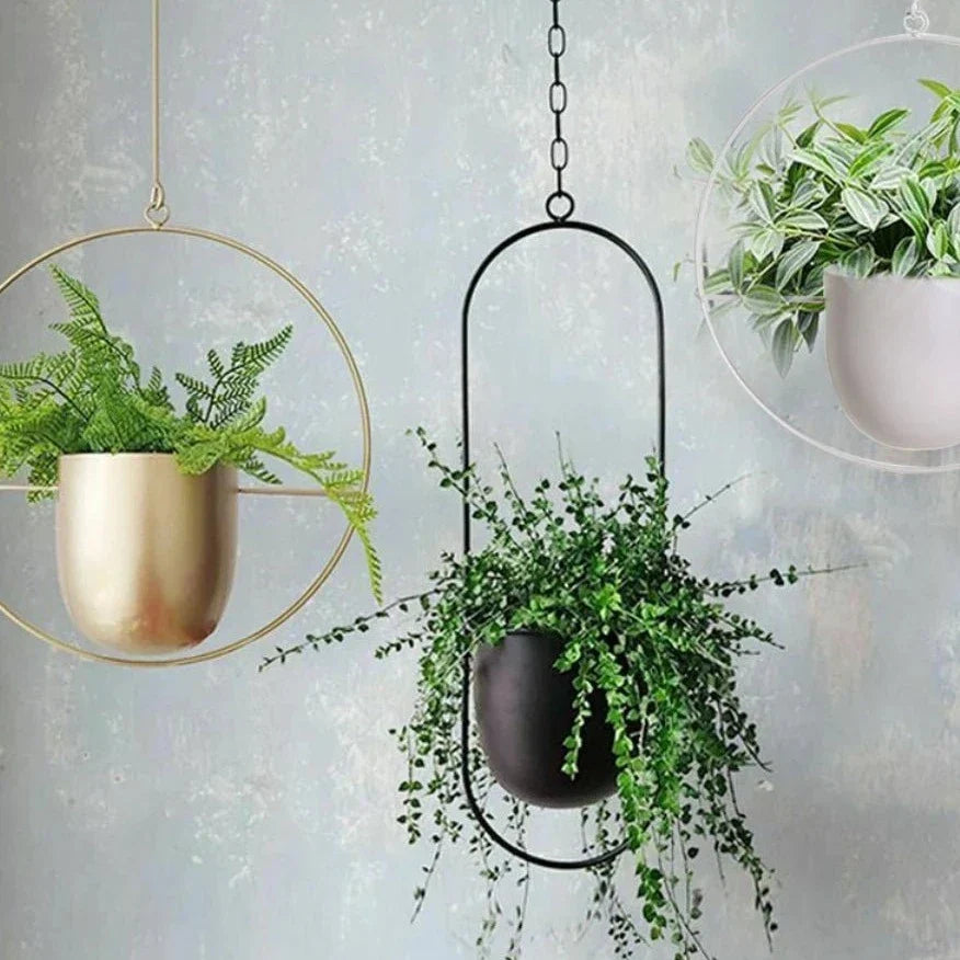 Wall-Mount Iron Planter 8 Inch Modern Floating Circle Halo Design for Succulents Herbs Indoor Outdoor Display Space-Saving Balcony Patio Apa | Thomler