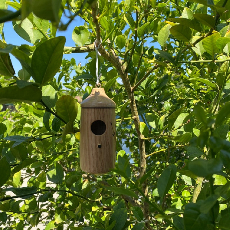 Kolibri-Nistkasten mit Holzmaserung und Aufhängeschlaufe für den Garten