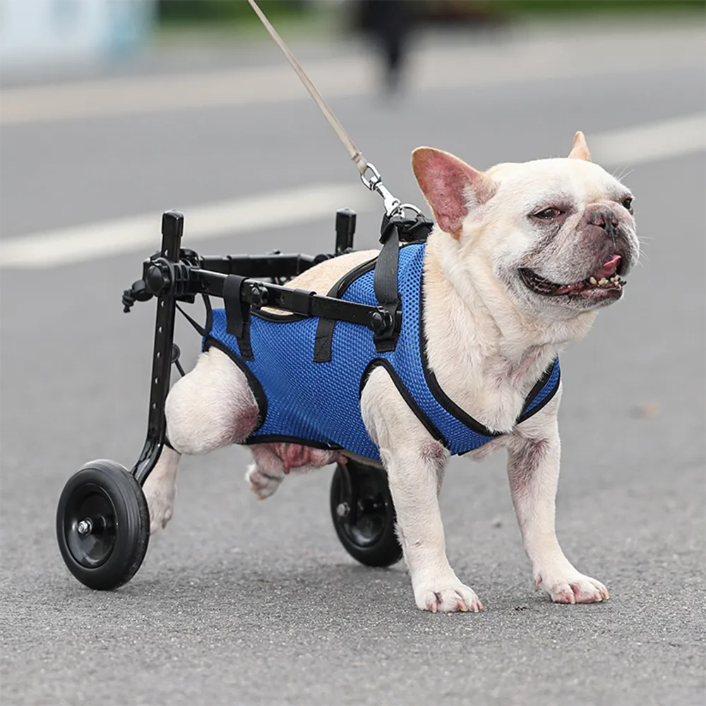 Silla de ruedas ajustable para mascotas con soporte para patas traseras y soporte seguro, para perros y gatos