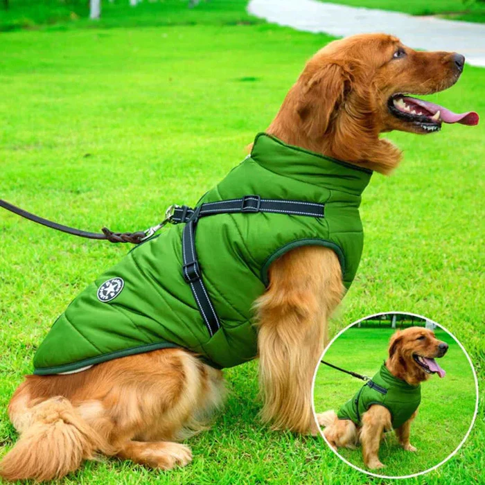 Hondenjas voor koud weer met fleecevoering en aanlijnring — Weerbestendige buitenkleding voor actieve honden, alle rassen, reflecterende veiligheidsstrip | Thomler