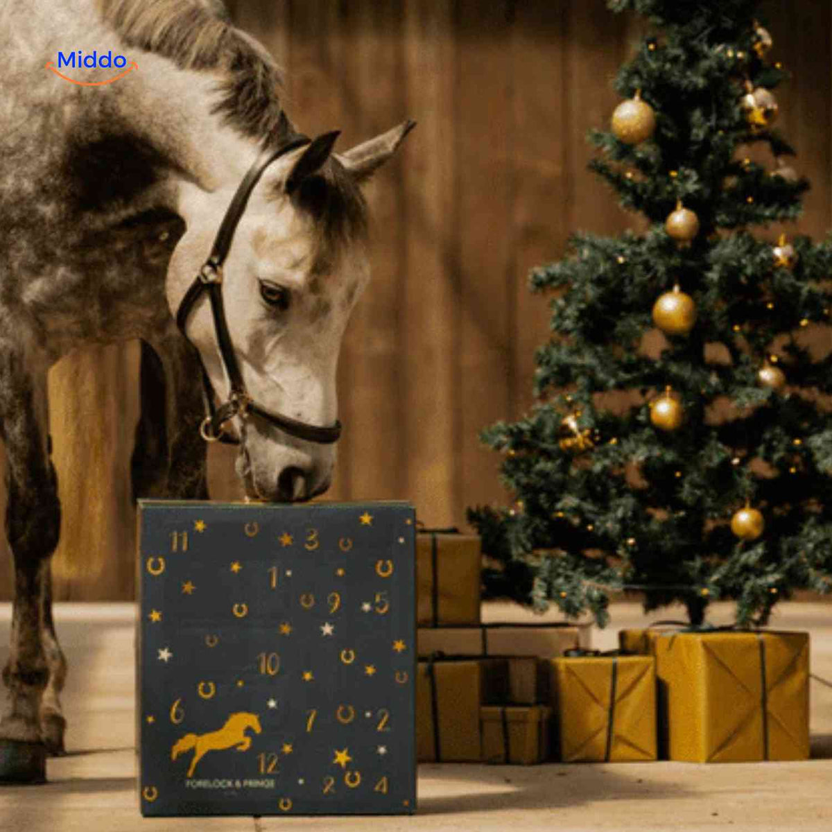 Horse Lover's Advent Calendar – 24 Daily Equestrian Trinkets & Charms for December Countdown