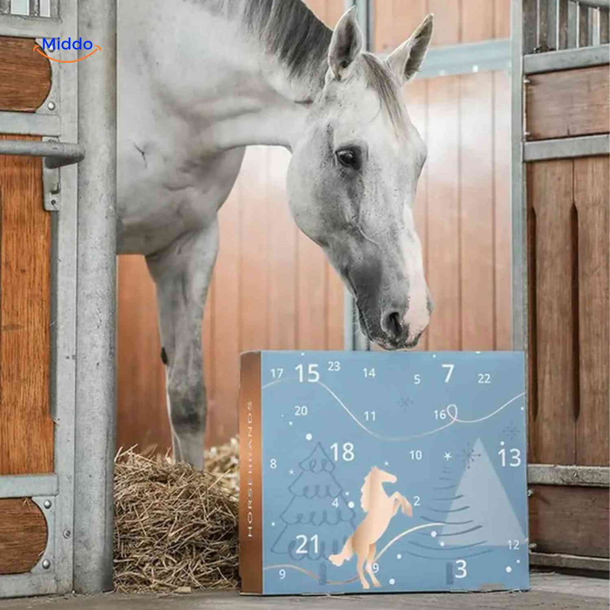 Horse Lover's Advent Calendar – 24 Daily Equestrian Trinkets & Charms for December Countdown
