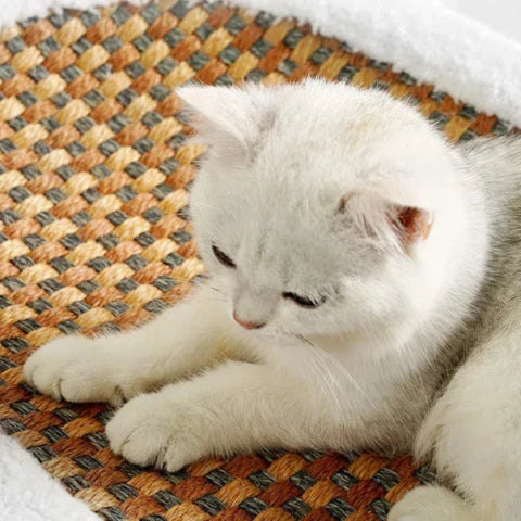 Cat Scratcher Bed with Plush Cushion and Scratch Surface for Indoor Cats, Cozy Lounge and Claw Pad Combo for Furniture Protection | Thomler