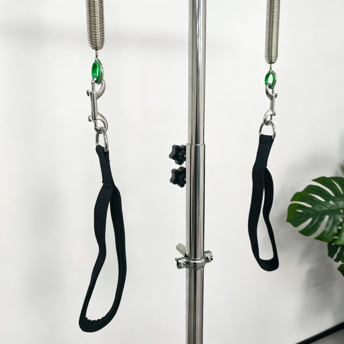 Pilates Pedi Pole – Posture & Balance Trainer