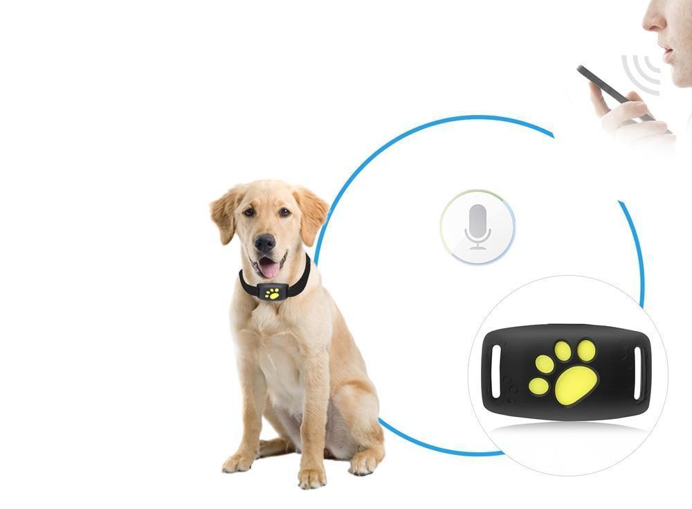 Compact Satellite Pet Locator for Cats ABS Housing 0.8 in Square Real-Time Position Monitor No Monthly Fees Outdoor Tracker | Thomler