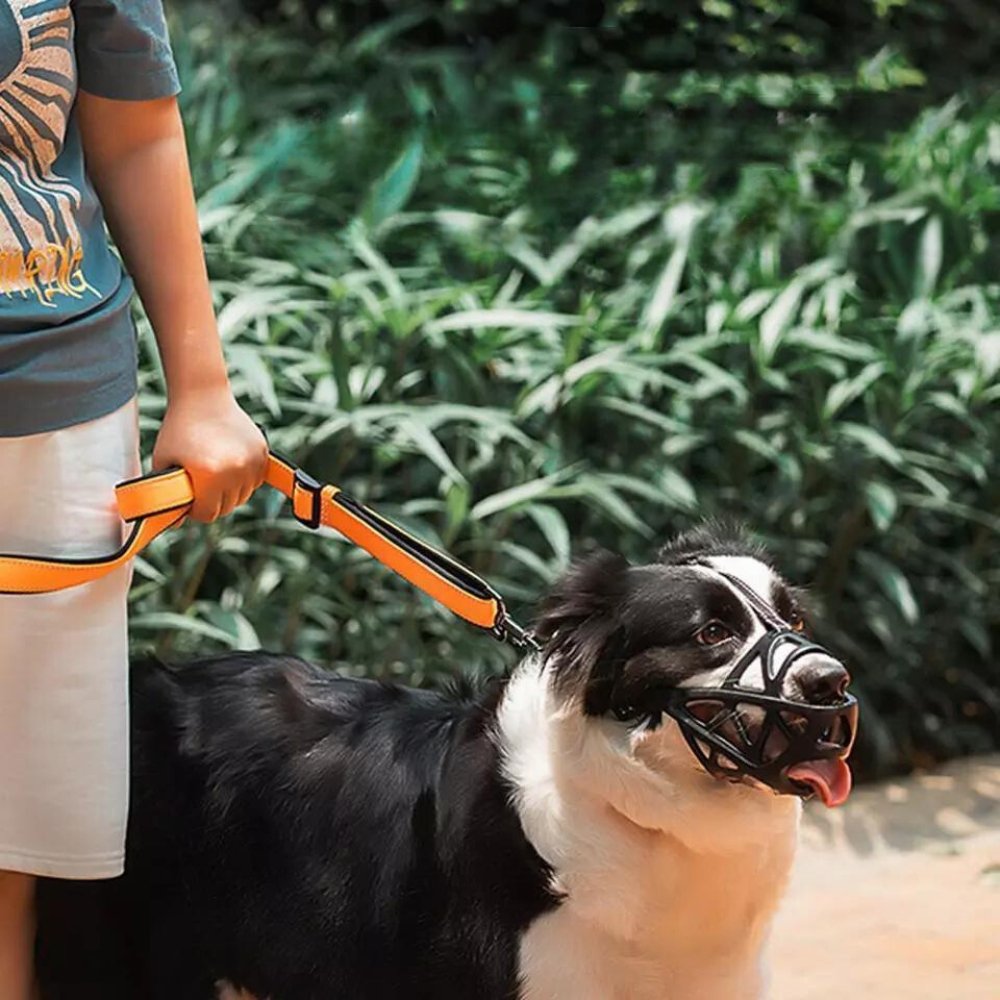 Breathable Mesh Dog Muzzle for Small to Extra Large Dogs | Adjustable Pet Safety Guard Prevents Biting Barking Chewing | Comfortable Lightwe